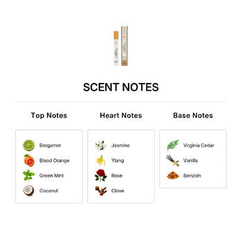 100 Bon Unisex Jasmin & Ylang Solaire EDP Spray 0.5 oz Fragrances (Wholesale) - Luxurious Fragrance Available Online in Hong Kong & China