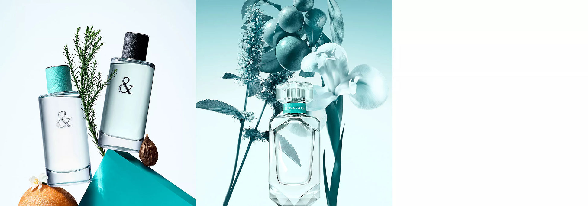 The Signiture and Popular Perfumes from the brand: Tiffany & Co. Brand Sample Collection