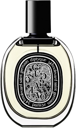 Diptyque Oud Palao Eau de Parfum EDP decant (In-Stock) - Luxurious Fragrance Available Online in Hong Kong & China