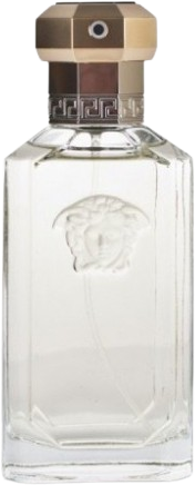 Versace The Dreamer EDT decant (In-Stock)
