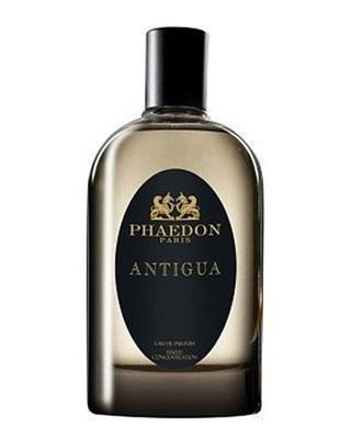 Phaedon Antigua - premium fragrance for sophisticated tastes.