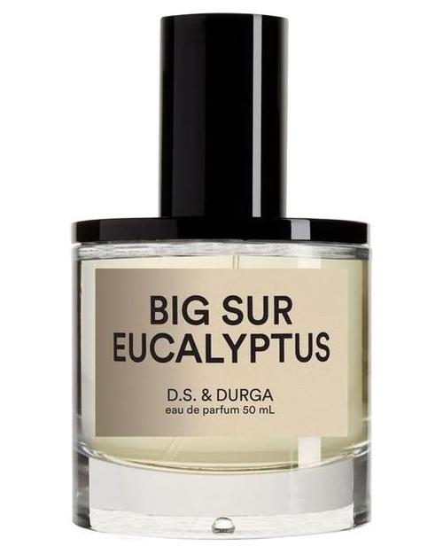 D.S. & Durga Big Sur Eucalyptus - premium fragrance for sophisticated tastes.