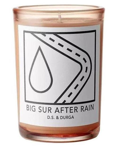 D.S. & Durga Big Sur After Rain Candle - premium fragrance for sophisticated tastes.