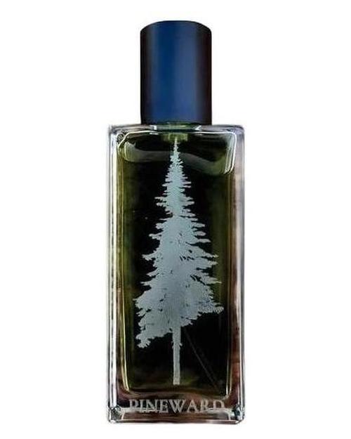 Pineward Perfumes Coastal Veil - premium fragrance for sophisticated tastes.