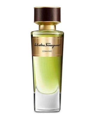 Salvatore Ferragamo Convivio - premium fragrance for sophisticated tastes.