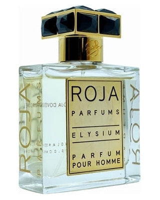 Roja Parfums Elysium Pour Homme Parfum - premium fragrance for sophisticated tastes.