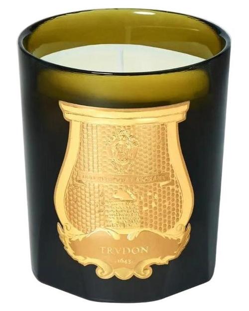 Trudon Ernesto Candle - premium fragrance for sophisticated tastes.