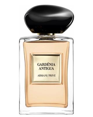 Armani Gardénia Antigua - premium fragrance for sophisticated tastes.