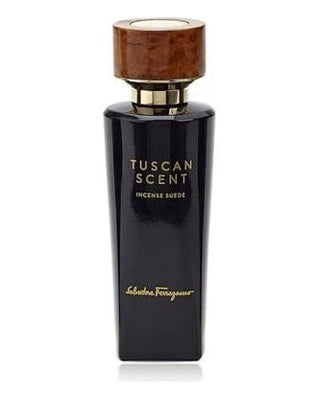 Salvatore Ferragamo Incense Suede - premium fragrance for sophisticated tastes.