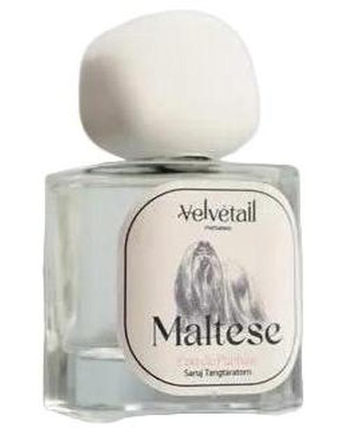 Velvétail Maltese - premium fragrance for sophisticated tastes.