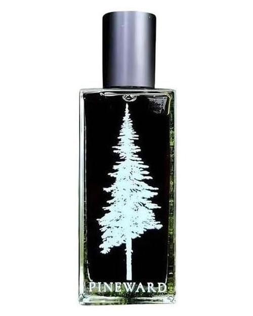 Pineward Perfumes Nocturnis - premium fragrance for sophisticated tastes.