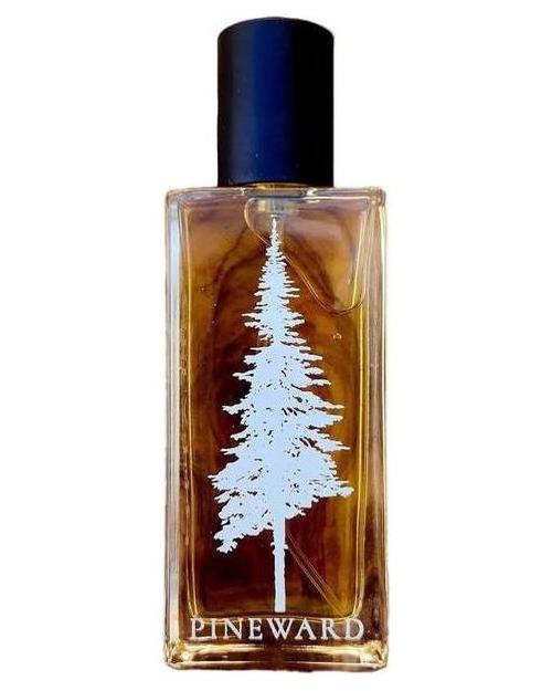 Pineward Perfumes Noki - premium fragrance for sophisticated tastes.
