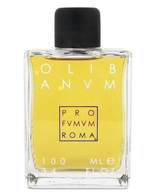 Profumum Roma Olibanum - premium fragrance for sophisticated tastes.