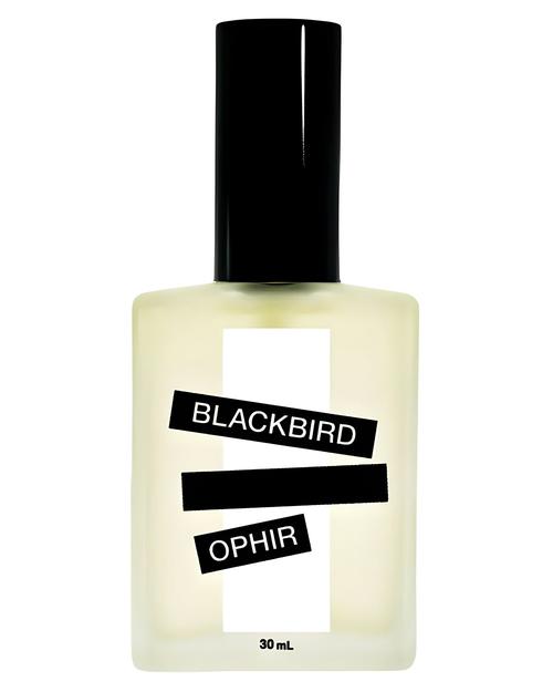 Blackbird Ophir - premium fragrance for sophisticated tastes.