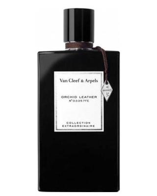 Van Cleef & Arpels Orchid Leather - premium fragrance for sophisticated tastes.