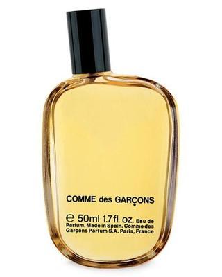 Comme Des Garcons Original - premium fragrance for sophisticated tastes.