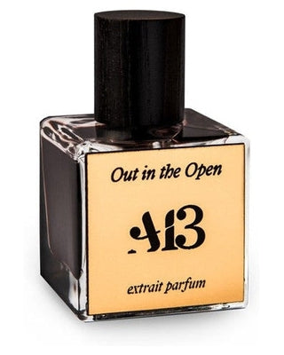 A13 Out In The Open - premium fragrance for sophisticated tastes.