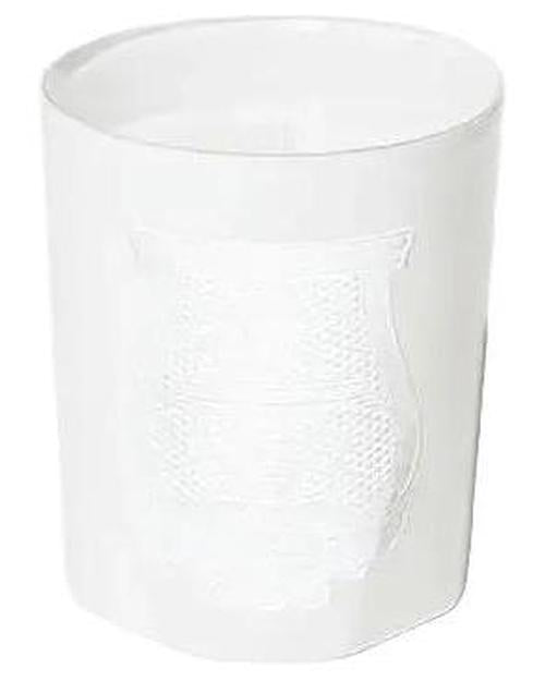 Trudon Positano Candle - premium fragrance for sophisticated tastes.