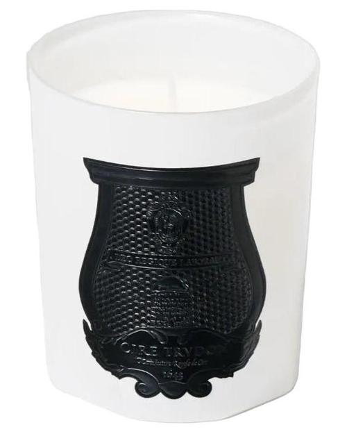 Trudon Rose Poivrée Candle - premium fragrance for sophisticated tastes.