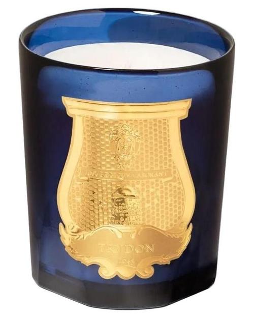 Trudon Salta Candle - premium fragrance for sophisticated tastes.