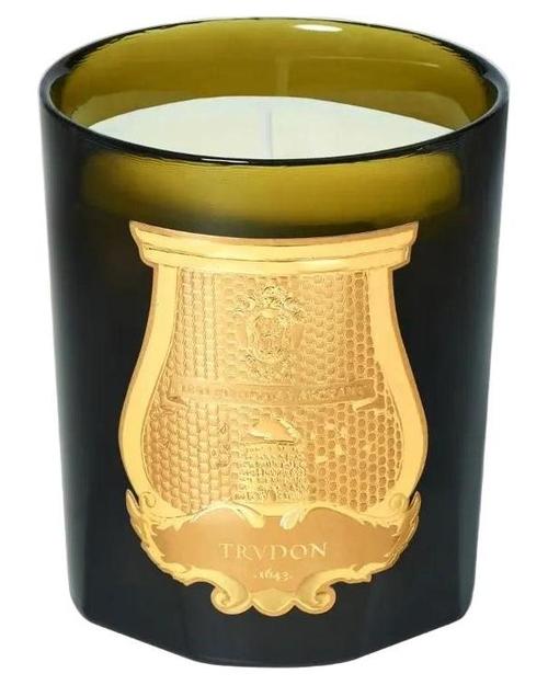 Trudon Spiritus Candle - premium fragrance for sophisticated tastes.