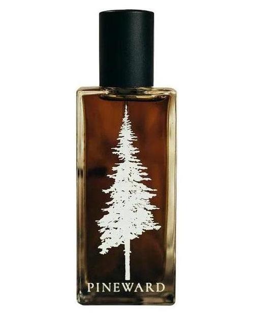 Pineward Perfumes Sturbridge - premium fragrance for sophisticated tastes.