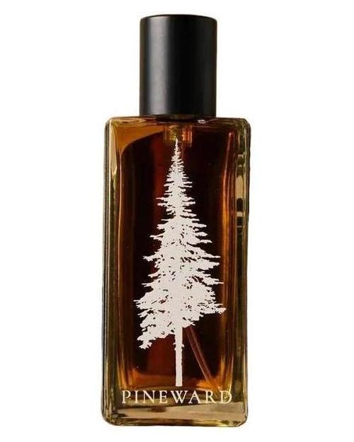 Pineward Perfumes Tome - premium fragrance for sophisticated tastes.
