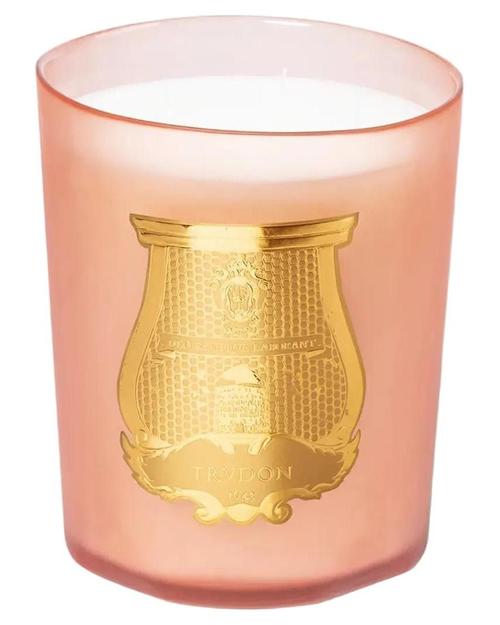 Trudon Tuileries Candle - premium fragrance for sophisticated tastes.