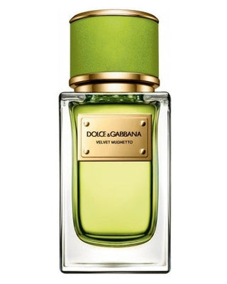 Dolce & Gabbana Velvet Mughetto - premium fragrance for sophisticated tastes.