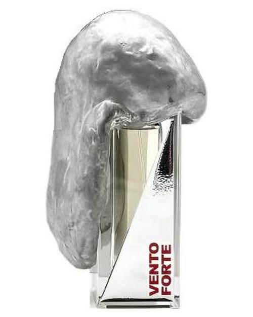 Filippo Sorcinelli Vento Forte - premium fragrance for sophisticated tastes.