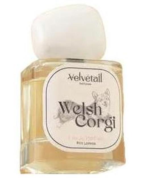 Velvétail Welsh Corgi - premium fragrance for sophisticated tastes.