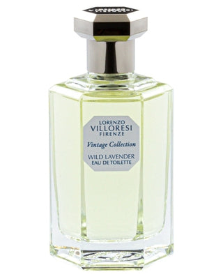 Lorenzo Villoresi Wild Lavender - premium fragrance for sophisticated tastes.