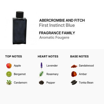 Abercrombie And Fitch Abercrombie Men's First Instict Blue EDT Spray 3.4 oz (Tester) (Wholesale) - Luxurious Fragrance Available Online in Hong Kong & China