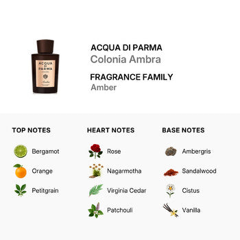 Acqua Di Parma Men's Colonia Ambra Concentre EDC Spray 6 oz Fragrances (Wholesale) - Luxurious Fragrance Available Online in Hong Kong & China