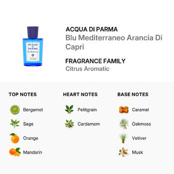 Acqua Di Parma Unisex Blu Mediterraneo Arancia Di Capri EDT Spray 5.0 oz (Tester) Fragrances (Wholesale) - Luxurious Fragrance Available Online in Hong Kong & China