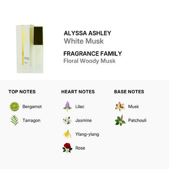 Alyssa Ashley White Musk by EDP Spray 1.7 oz (50 ml) (w) - Luxurious Fragrance Available Online in Hong Kong & China