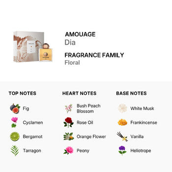 Amouage Ladies Dia EDP Spray 3.4 oz Fragrances (Wholesale) - Luxurious Fragrance Available Online in Hong Kong & China