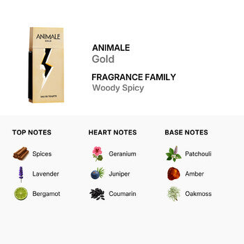 Animale Men's Gold EDT Spray 3.4 oz (Wholesale) - Luxurious Fragrance Available Online in Hong Kong & China