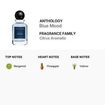 Anthology Men's Blue Mood EDP Spray 3.3 oz (Wholesale) - Luxurious Fragrance Available Online in Hong Kong & China