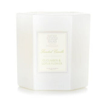 Antica Farmacista Unisex Cucumber & Lotus Flower 9 oz Scented Candle (Wholesale) - Luxurious Fragrance Available Online in Hong Kong & China