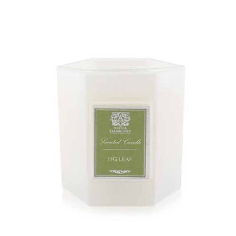 Antica Farmacista Unisex Fig Leaf 9 oz Scented Candle - Luxurious Fragrance Available Online in Hong Kong & China