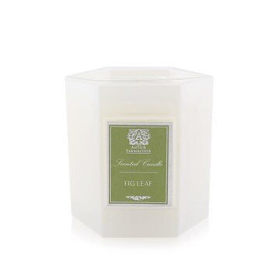 Antica Farmacista Unisex Fig Leaf 9 oz Scented Candle (Wholesale) - Luxurious Fragrance Available Online in Hong Kong & China