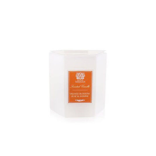 Antica Farmacista Unisex Orange Blossom, Lilac & Jasmine 9 oz Scented Candle (Wholesale) - Luxurious Fragrance Available Online in Hong Kong & China