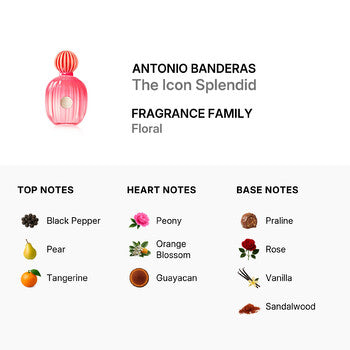 Antonio Banderas Ladies The Icon Splendid EDP Spray 3.4 oz (Wholesale) - Luxurious Fragrance Available Online in Hong Kong & China