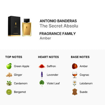 Antonio Banderas Men's The Secret Absolu EDP Spray 3.4 oz (Wholesale) - Luxurious Fragrance Available Online in Hong Kong & China