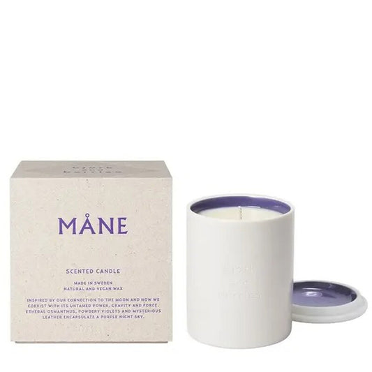 Bjork And Berries Unisex Mane 8.11 oz Scented Candle (Wholesale) - Luxurious Fragrance Available Online in Hong Kong & China