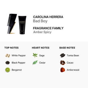 Carolina Herrera Men's Bad Boy Gift Set - Luxurious Fragrance Available Online in Hong Kong & China