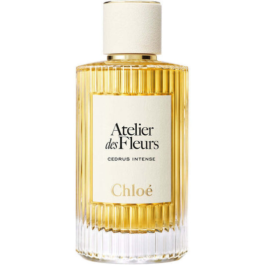 Chloé Ladies Atelier Des Fleurs Cedrus Intense EDP Spray 5.0 oz Fragrances - Luxurious Fragrance Available Online in Hong Kong & China
