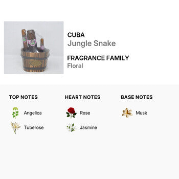 Cuba Ladies Jungle Snake Gift Set - Luxurious Fragrance Available Online in Hong Kong & China