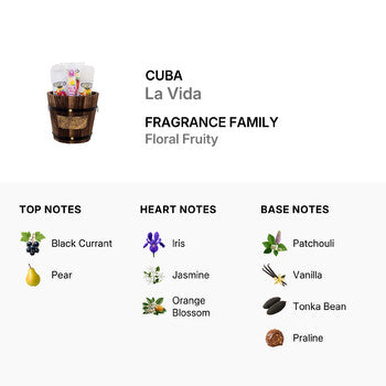 Cuba Ladies La Vida Gift Set - Luxurious Fragrance Available Online in Hong Kong & China